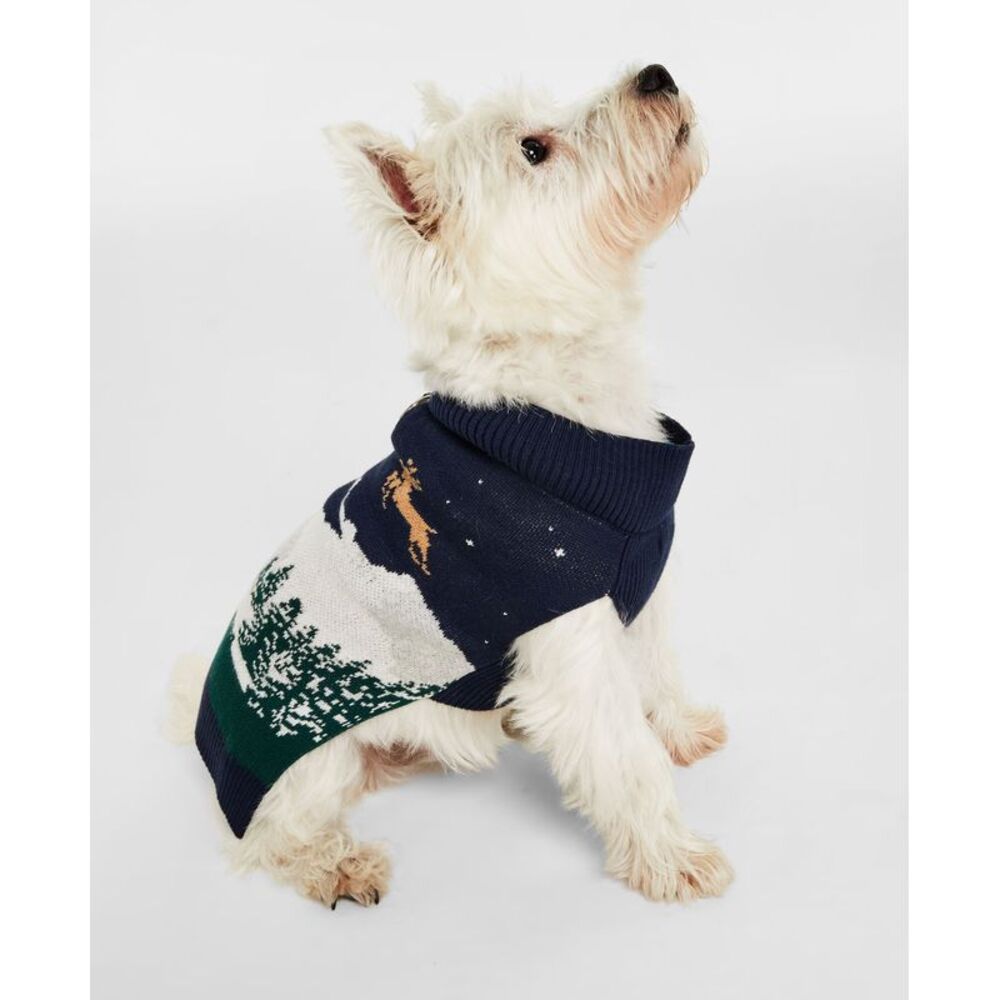 Holiday Lane Snowy Landscape Pet Sweater
